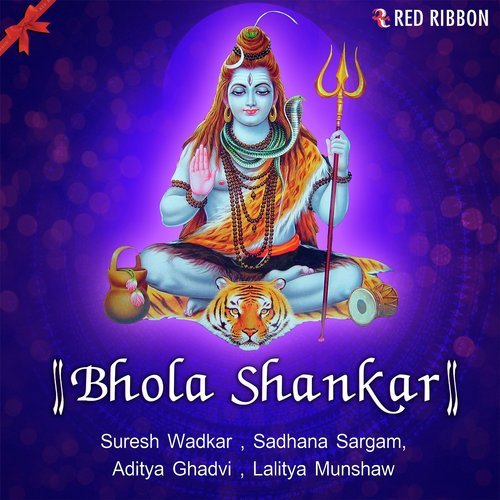 Om Namah Shivay - 