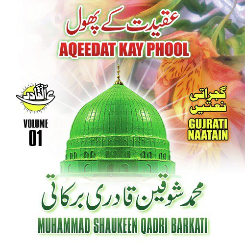 Ya Nabi Mustafa Salam Aap Par - Muhammad Shaukeen Qadri Barkati