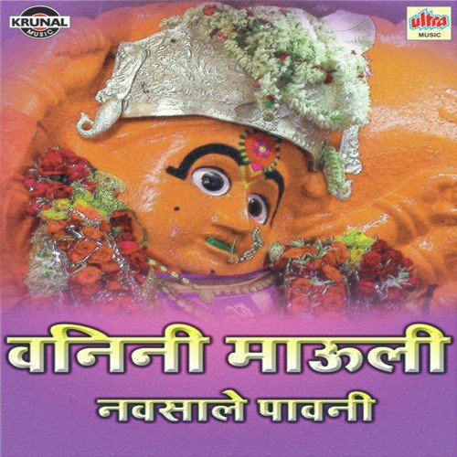 Saptshrungi Navasle Pavani - Various Artists
