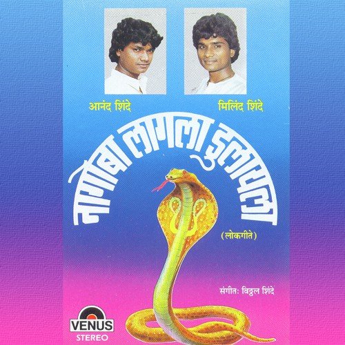 Sun Mere Amina Didi - Anand Shinde