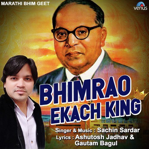 Bhimrao Ekach King - Anand Shinde