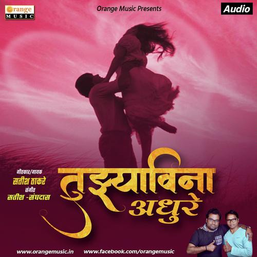 Tuzyawina Adhure - Satish Thakare
