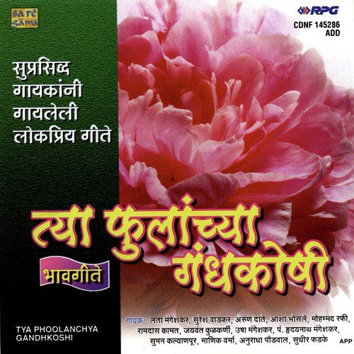 Raatra Aahe Pournemechi - Various Artists
