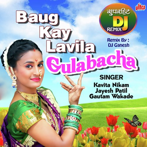 Khanivade Gavamadhi Baug Kay Lavila Gulabacha (Remix) - Animesh Thakur