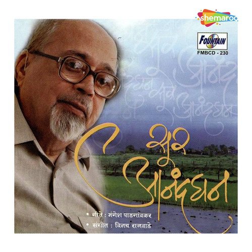 Sur Anandghan - Vinay Rajwade