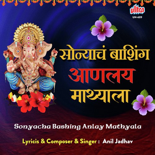Sonyacha Bashing Anlay Mathyala - Anil Jadhav