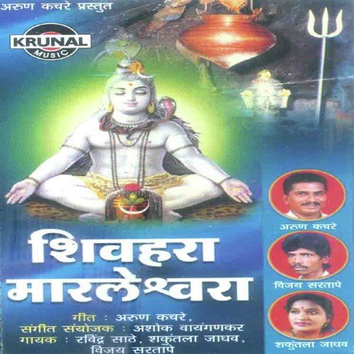 Marleshwar Gijarachya Lagnala Chala - Various Artists