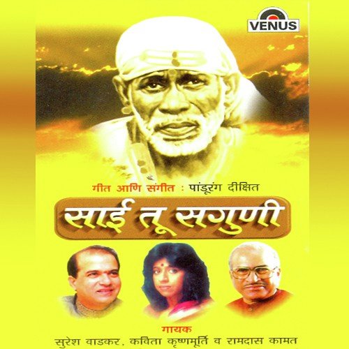 Japtap Sadhan - Pandurang Dixit