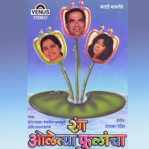 Dolyat Aasvanchi - Various Artists