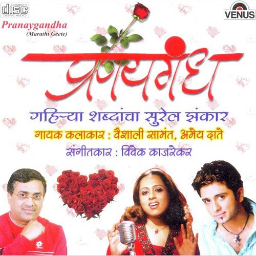 Hazaar Vela Tula Pahave - Vivek Kajarekar