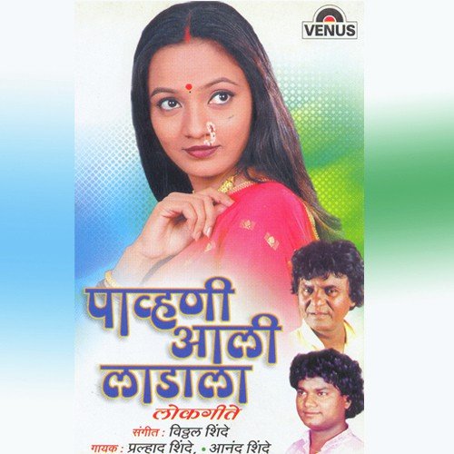 Ag Tara Gaav Jhopalay Saara - Vitthal Shinde