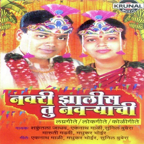 Vaishakh Pornima Jatra Bharle Go - Various Artists