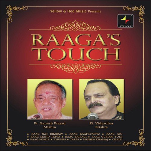 Raag Puriya - Pdt. Vidya Dhar Mishra