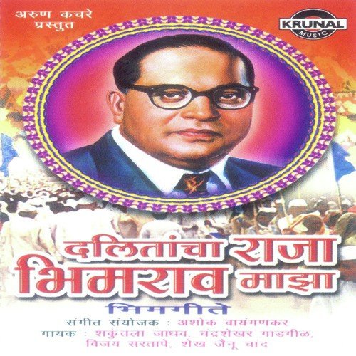 Dalitancha Raja Bhimrav Maza - Avinash Raybhole, Nitin Kedare, Nitin Kedare