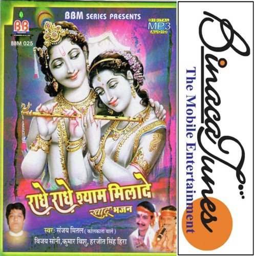 Radhe Radhe - Various Artists