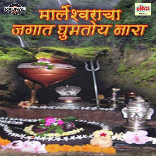 Har Har Bhole Namah Shivay - Various Artists