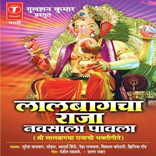 Paavlaay Raja Navsala - Various Artists