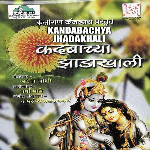 Bansi Vajavi Bansidhar - Various Artists