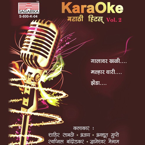 Zenda (Originally Performed By Dnyaneshwar Meshram) - Various Artists