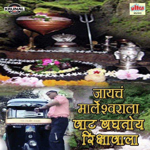 Jayacha Marleshwarala Vaat Bagtoy Rikshawala - Various Artists