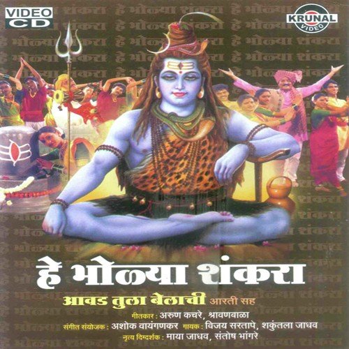 Shambho Shankara Karunakara - Various Artists