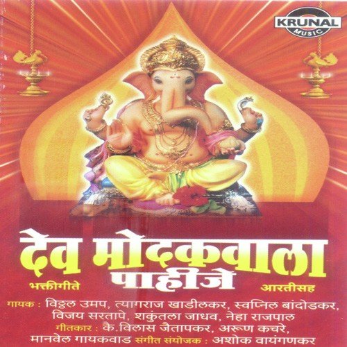 Zala Zala Aanand - Various Artists