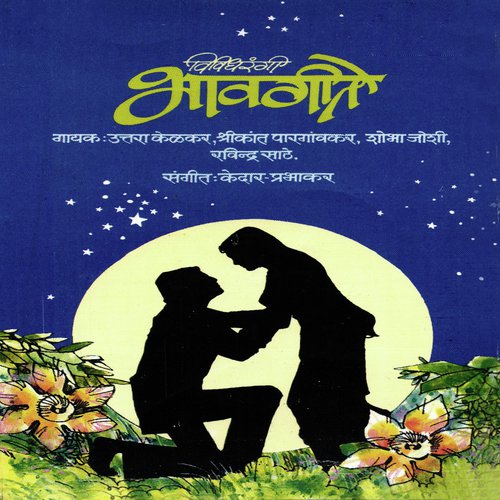 Nilya Nabhat Chandane - Various Artists