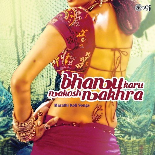 Por Mee Kolhyachi (From Aali Mahavrewali) - Various Artists