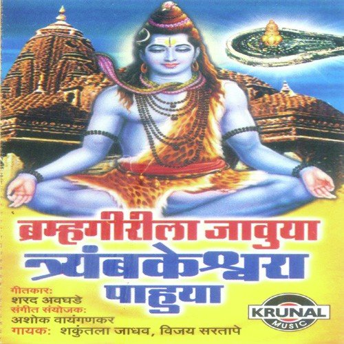 Bramhagiri Nandatoya Damruwala - Various Artists