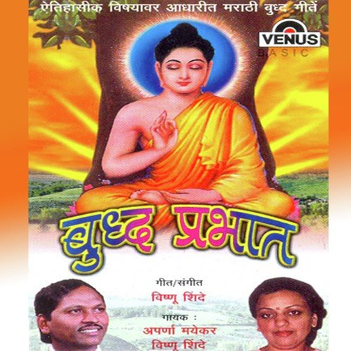 Swayamvarachya Sohalyat - Vishnu Shinde