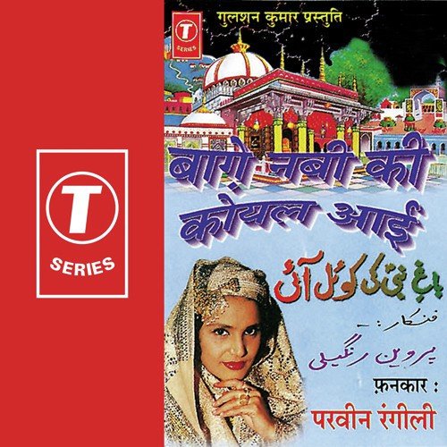 Dekho Dekho Sandesa Aaya Hai - Parveen Rangili