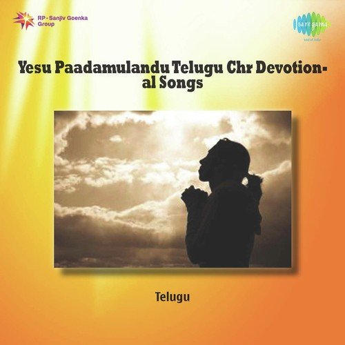 Siluve Naa Saranaayenura - Various Artists