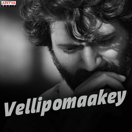 Nammaka Tappani (From Bommarillu) - Radhan