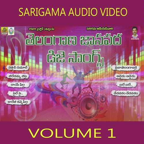 Raye Pilla - Anilkumar, Prasad, Anilkumar, Goreti Venkanna, Vimalakka, Jadala Ramesh, Garjana, Rasamayi Balakisha