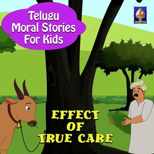 Effect Of True Care - Sandeep