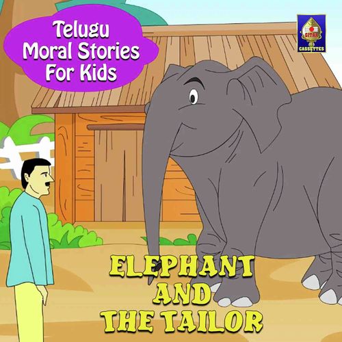 Elephant And The Tailor - Sandeep