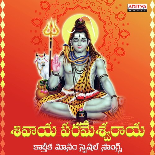 Om Namashiva Bholo (From Om Namo Shiva Rudraya) - Various Artists