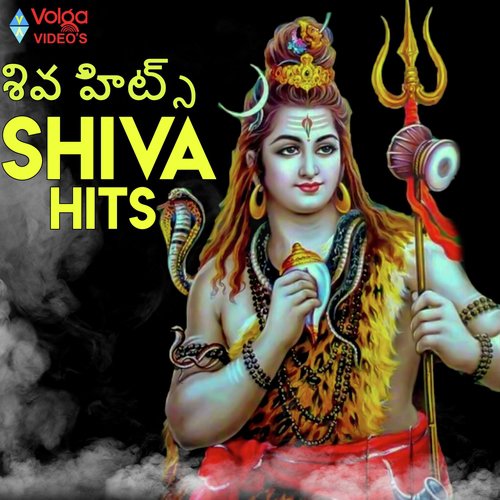 Om Sri Shivaya - Various Artists