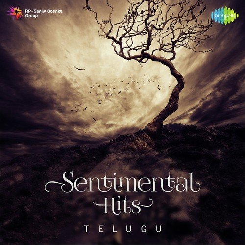 Meeti Choodu (From Cheekati Velugulu) - Various Artists