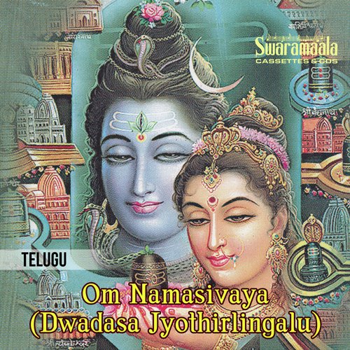 Om Namasivaya(Dwadasa Jyothirlingalu)   02 - Various Artists