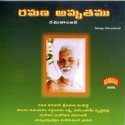 Arunacala Bhava Sagara - Abridged Version - S. Rajeswara Rao