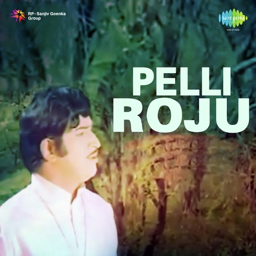 Aanati Chelimi - M S Sriram