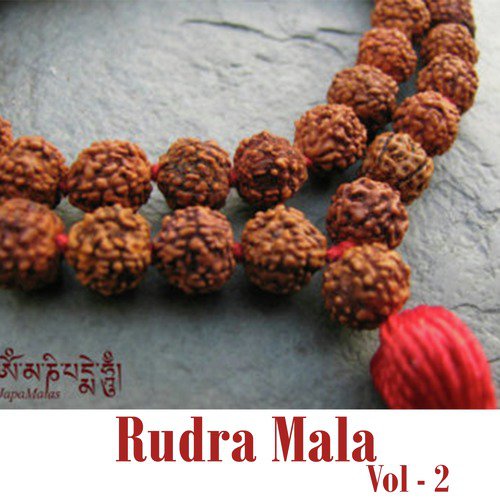 Vaidsarshivstava - Sanjay Vidyarthi, Amlesh Shukla
