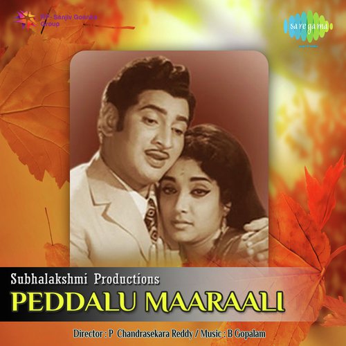 Yemani Vraayanu - B. Gopalam