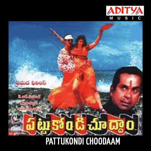 Ninna Daaka Heart Beat - Veena Paani
