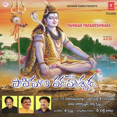 Kattara Ballu Chuttara Gullu - Sri Krishna