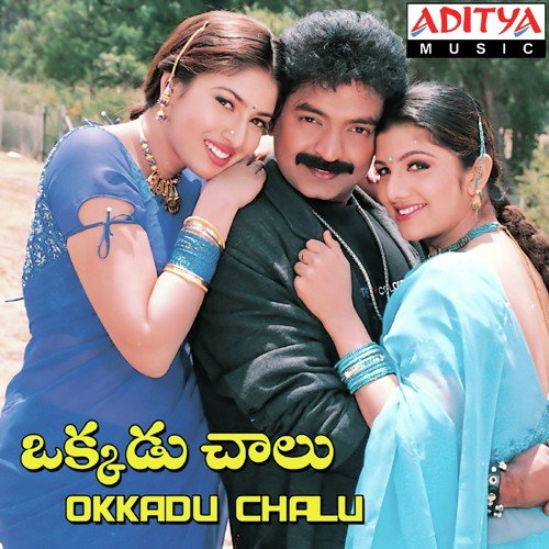 Okkadu Chaalu - Koti