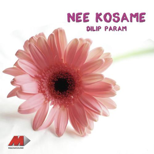 Ra Ra Friend - Dilip Param