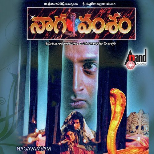 Chikati Jaadala - C. Ashwath