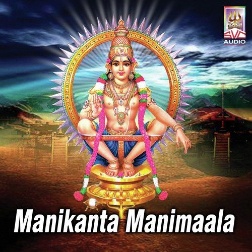 Naa Praanam Neeve - Krishna Sai